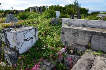 Overgrown cemetery on Siquijor island, Philippines