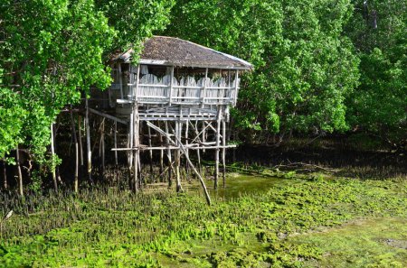 Photo for Old fisherman house on Siquijor island, Philippines - Royalty Free Image