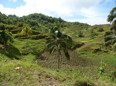 Rural landscape on Siquijor island, Philippines
