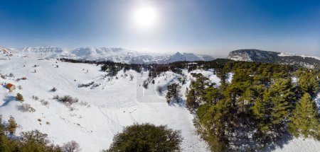 Téléchargez les photos : Panorama aérien du Mont Liban et de la forêt de cèdres en hiver. Vue par drone de la chaîne de montagnes du Mont Liban, avec vieille forêt de cèdres, paysage enneigé en hiver, Liban, Moyen-Orient - en image libre de droit