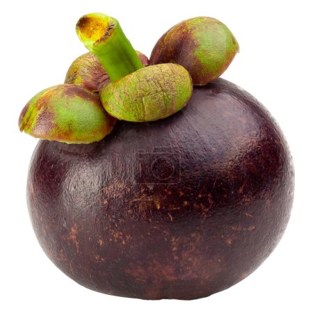 Ripe mangosteen fruit isolated on a white background