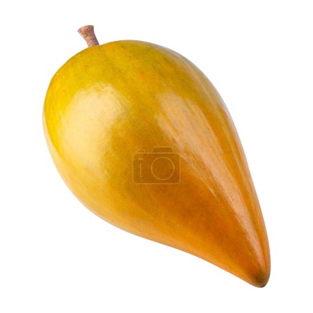 Egg fruit, Canistel, Yellow Sapote isolated over white background.