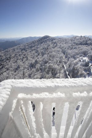 Montagne avec le givre sur les arbres à la station de ski Yongpyong, Montagne Hiver Sud en Corée.