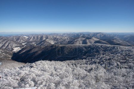 Berg mit Raureif auf den Bäumen im Yongpyong Skigebiet, Mountain Winter South in Korea.