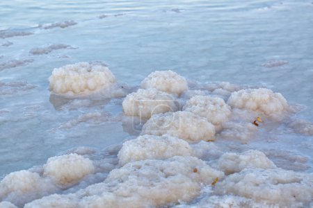 Salt flat with clusters of white salt formations. The formations are irregular porous. They are scattered across the flat surface which is covered in a thin layer of water reflecting the sky. Dead Sea