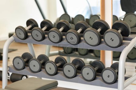 Modern gym with a rack of dumbbells. The dumbbells are black, labeled with numbers indicating their weights. The rack is grey. In the background, a window illuminates the room. Sports equipment in gym