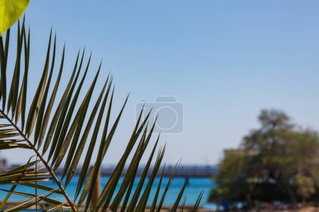 The clear blue sky meets the calm sea at the horizon. Viewed through the silhouette of palm fronds, greenery adds a touch of natures beauty. Landscape suggests a peaceful retreat or vacation spot.
