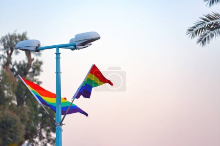 Pride flags wave in the evening breeze next to lamp posts with a palm tree. Two vibrant flags in rainbow colors waving in the air. They are attached to a pole that also holds two white street lights.
