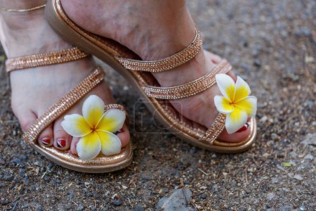 Close up view captures the feet of woman adorned with sparkling, strappy sandals. Between the straps, a fresh plumeria flower rests delicately, enhancing the aesthetic of the footwear. Beach setting