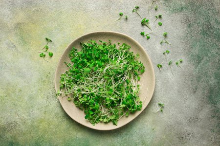 Photo for Fresh micro-greenery, on a plate, top view, no people, - Royalty Free Image