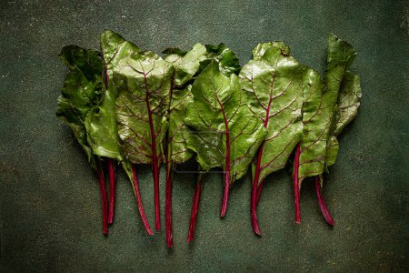 Photo for Fresh, green leaves, stem with beet leaves, on the table, top view, rustic, no people, - Royalty Free Image
