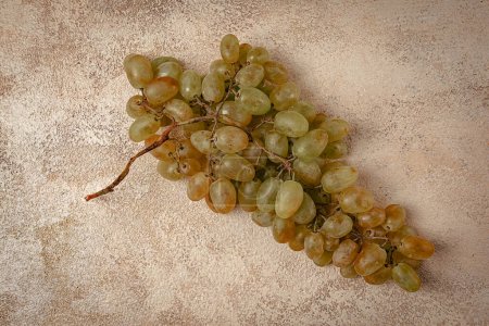 Téléchargez les photos : Une branche de raisins blancs, raisins de cuve, cépage géorgien Rkatsiteli, vue de dessus, - en image libre de droit