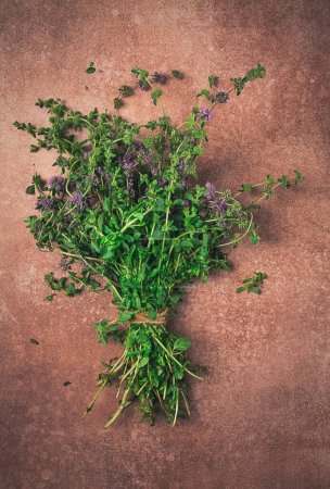 Photo for Bouquet of herb ombalo, marsh mint, bunch of mint, top view, on a brown background, spice, Georgian cuisine, - Royalty Free Image