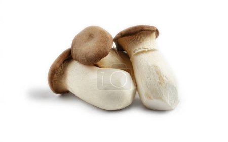 fresh eringi mushrooms, raw, royal oyster mushrooms, three pieces, Asian cuisine,on a white background, isolate, no people