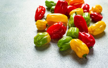 Photo for Habanero pepper, color mix, raw, vegetable, top view, no people, - Royalty Free Image