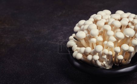frische weiße Shimeji-Pilze, auf einem schwarzen Teller, keine Menschen.