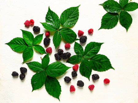 fresh blackberries and raspberries, with foliage, top view, on a light background, no people,