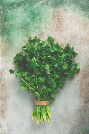 a bouquet of fresh coriander, a bunch of coriander on the table, top view,