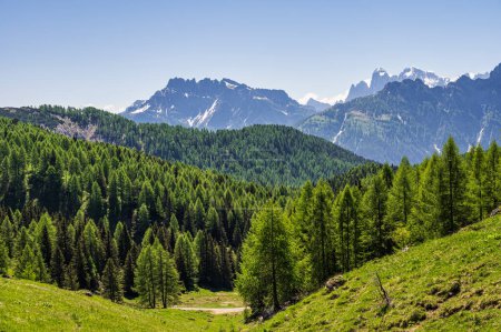 Téléchargez les photos : Alpine landscape walking from Passo San Pellegrino to Fuciade refuge, North Italy - en image libre de droit