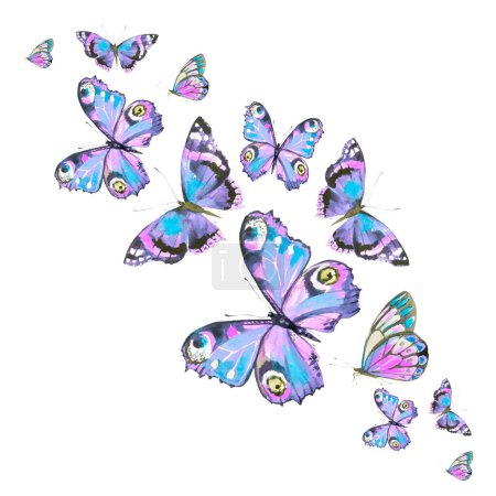 Téléchargez les photos : Beaux papillons aquarelle isolés sur un fond blanc - en image libre de droit