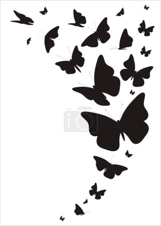 Ilustración de Silueta de mariposas negras aisladas sobre un blanco - Imagen libre de derechos
