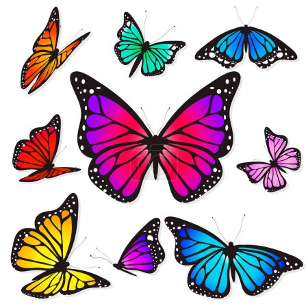 Téléchargez les illustrations : Beaux papillons colorés isolés sur un fond blanc - en licence libre de droit