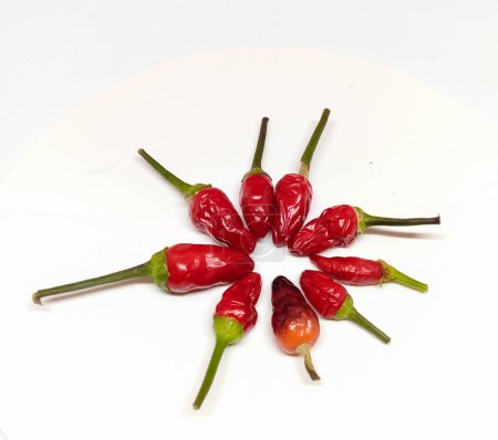 Photo for The chilies are arranged in circles and start to wilt - Royalty Free Image