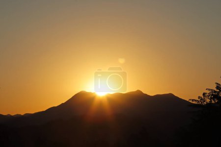Photo for Sun rays shining through a thick mountain forest at sunset. - Royalty Free Image