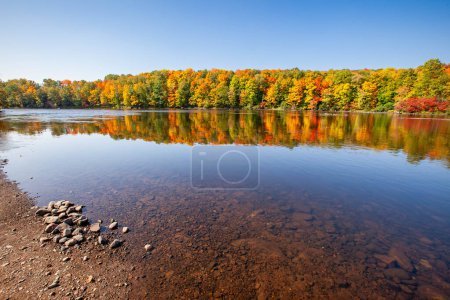 Téléchargez les photos : Reflet d'une forêt colorée dans la rivière Wisconsin, horizontale - en image libre de droit