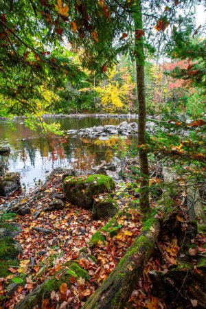 Photo for Lake of the Falls in Mercer, Wisconsin in September, vertical - Royalty Free Image