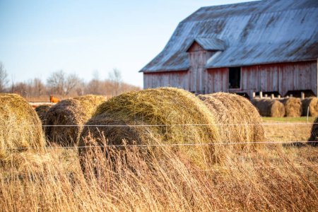 Close-up of round hay bales on a Wisconsin farm in November, horizontal