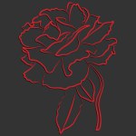 contours of a rose with a gradient and shadow. beautiful vector illustration