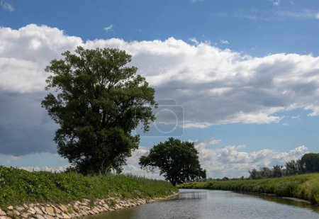 Téléchargez les photos : Canal construit entre Morava partie de la République tchèque et la Slovaquie par Bata. Belle verdure bordant le parcours, arbres, buissons, herbe et fleurs. Ciel bleu avec des nuages blancs. Canal de Bata, Républiques tchèque et slovaque - en image libre de droit