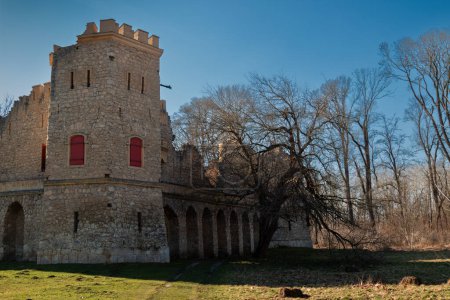 Pseudo-gothic imitation of a castle ruin, made of stone. Located in a park with green grass in the late winter and many trees. Bright blue sky. Red window shutters. UNESCO heritage. Januv hrad, Podivin, Lednice, Morava, Czech republic.