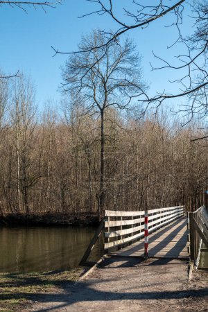 Holzbrücke für Fußgänger. Fluss Dyje mit einem Wald an der Küste. Strahlend blauer Himmel im Spätwinter. Januv hrad, Lednice, Podivin, Mähren, Tschechische Republik.