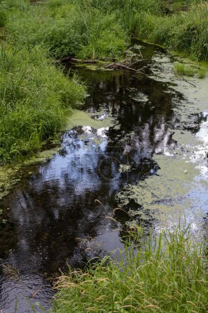 Abstrakter Blick auf einen kleinen Teich als Teil eines Kanals. Strahlend grünes Gras ringsum. Spiegelbild und blauer Himmel mit weißen Wolken im Wasser. Park des historischen Herrenhauses in Breclav, Mähren, Tschechien