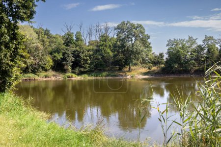 Teich im Park, umgeben von frischen Bäumen und Gras, die die Szene und den blauen Himmel mit weißen Wolken widerspiegeln. Umgebung des Schlosses Pohansko, Breclav, Mähren, Tschechische Republik.