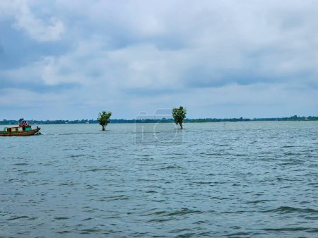 Photo for Trees floating above the water during the rainy season in Bangladesh at the biggest water reservoir situated at Sunamganj in Bangladesh. - Royalty Free Image