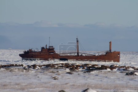 Photo for The 80-metre-long wreck of the MV Ithaca sits just outside Bird Cove, 19 kilometres or 12 miles east of Churchill, high and dry when the tide is low and completely surrounded by water at high tide. - Royalty Free Image
