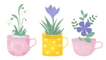 Illustration for Spring time. Collection spring flowers in cups. Bouquet of white snowdrop, purple crocus and periwinkle flower. Vector illustration in flat style. Isolated first seasonal flowers - Royalty Free Image