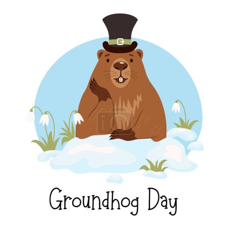 Cute groundhog character in hat in snow with snowdrops predicts spring weather. Holiday card Groundhog Day February 2. Vector illustration 