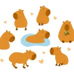Cute Capybara animal collection. Isolated funny animal character rodent. Vector illustration in flat style. kids collection