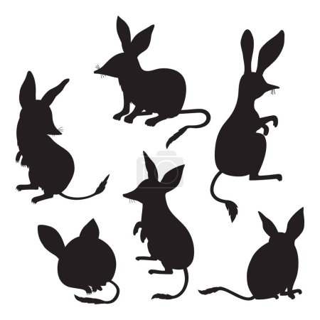 Australian animal bilbies set. Isolated black silhouette drawings. Vector illustration