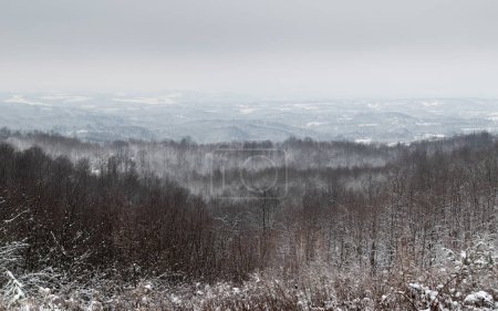 Hilly landscape with forests during cold winter day with snow and frost