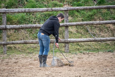 Téléchargez les photos : Marié mâle main stable nettoyage des chevaux fumier des zones - en image libre de droit