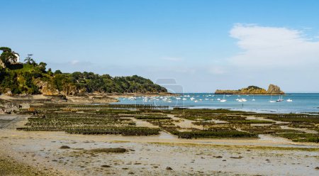 Blick auf die traditionelle Austernfarm bei Ebbe an einem sonnigen Tag, Küste von Cancale, Bretagne, Frankreich