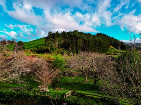 Photo for Rural New Zealand countryside, early spring morning. Shot just outside Waihi in early October using a drone - Royalty Free Image