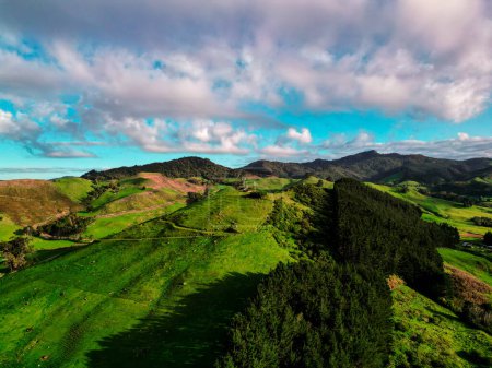 Photo for Rural New Zealand countryside, early spring morning. Shot just outside Waihi in early October using a drone - Royalty Free Image