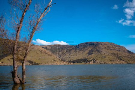 Photo for Lake Wairewa, Banks Peninsula, on a spring afternoon. Otherwise known as Lake Forsyth - Royalty Free Image