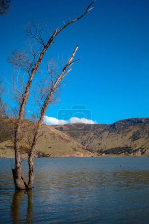 Photo for Lake Wairewa, Banks Peninsula, on a spring afternoon. Otherwise known as Lake Forsyth - Royalty Free Image